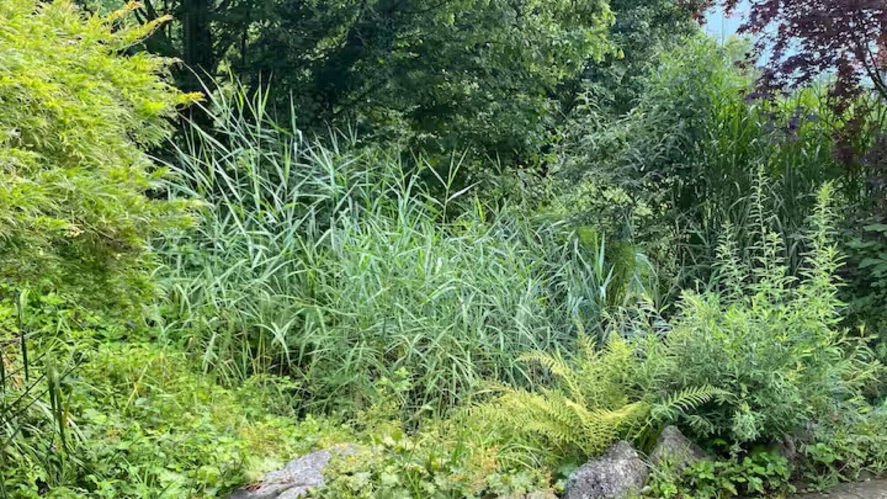 Photo of Outdoor in Uhldingen-Muehlhofen