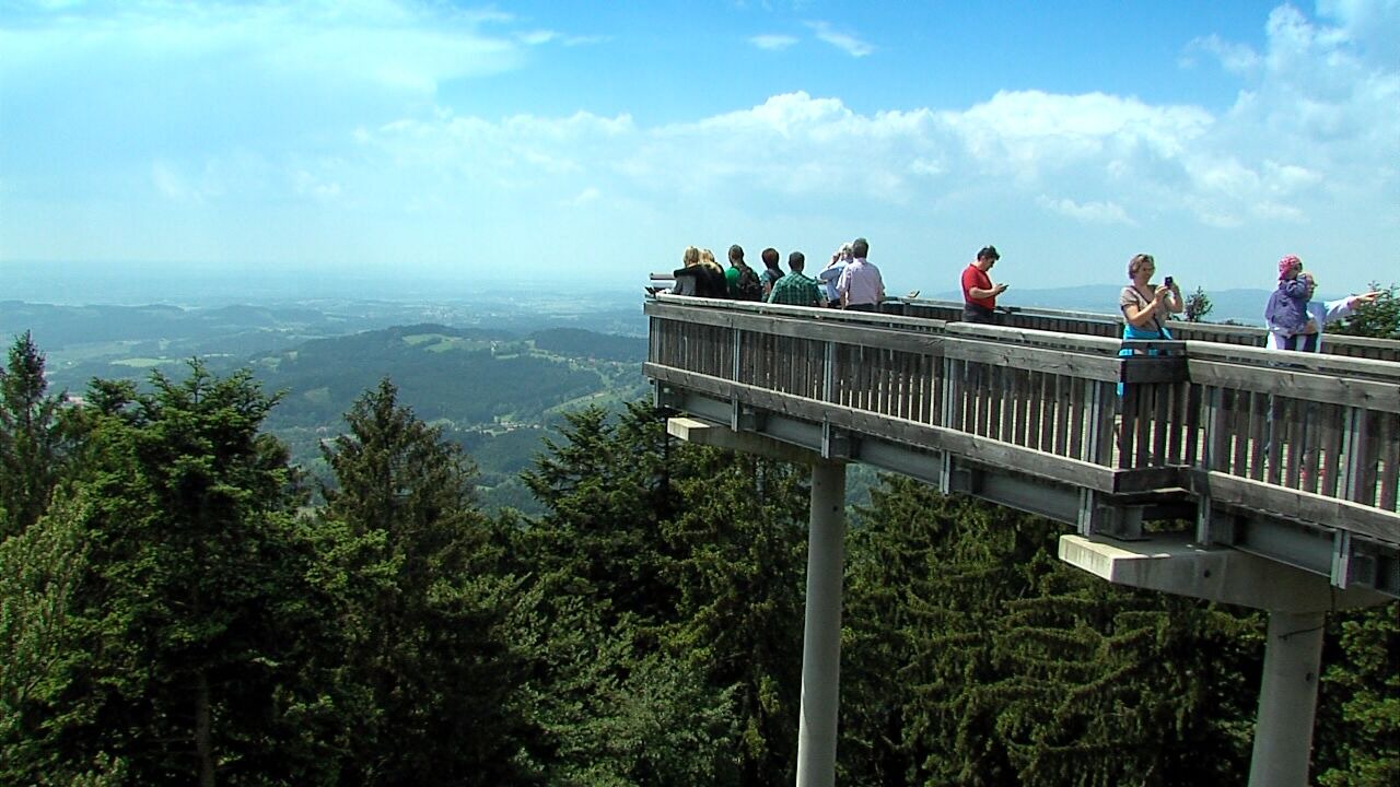 Photo of Others in Purgl