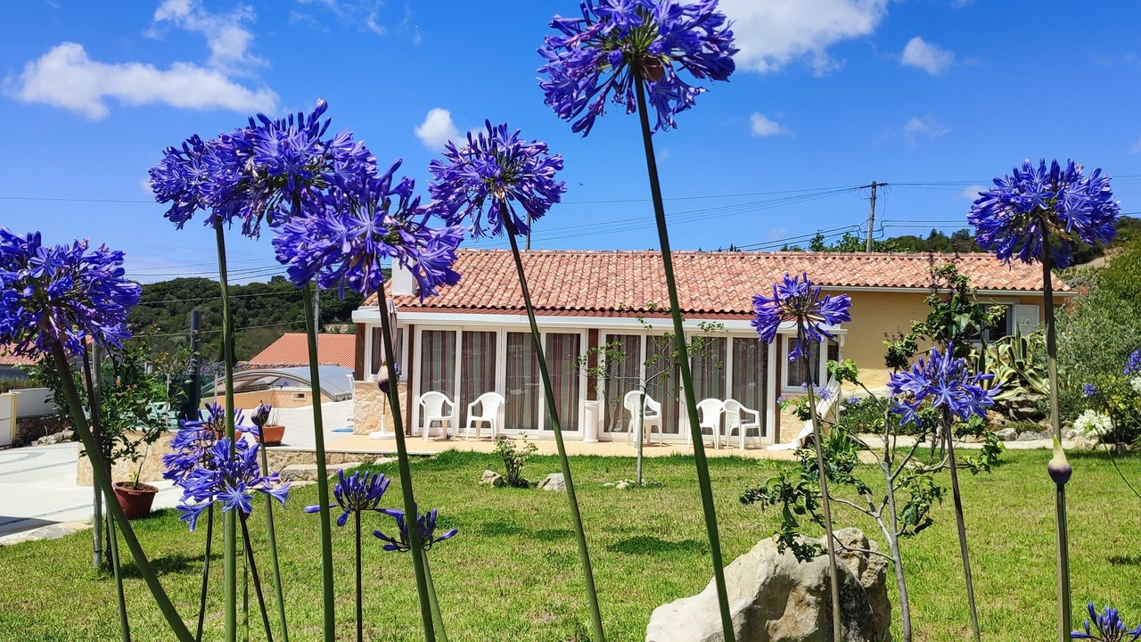 Photo of Outdoor in Alcobaca