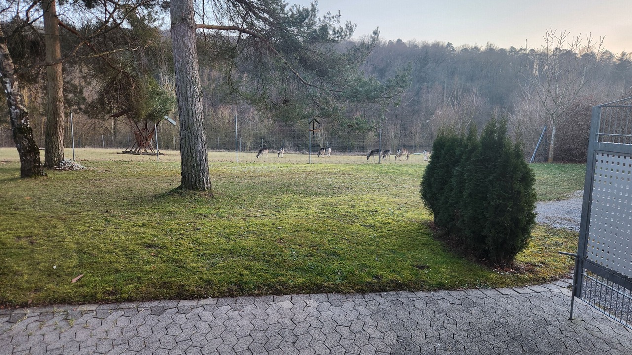 Photo of Outdoor in Iphofen