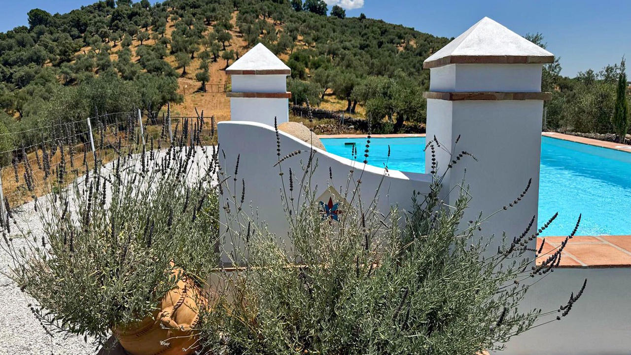 Photo of Outdoor in Constantina