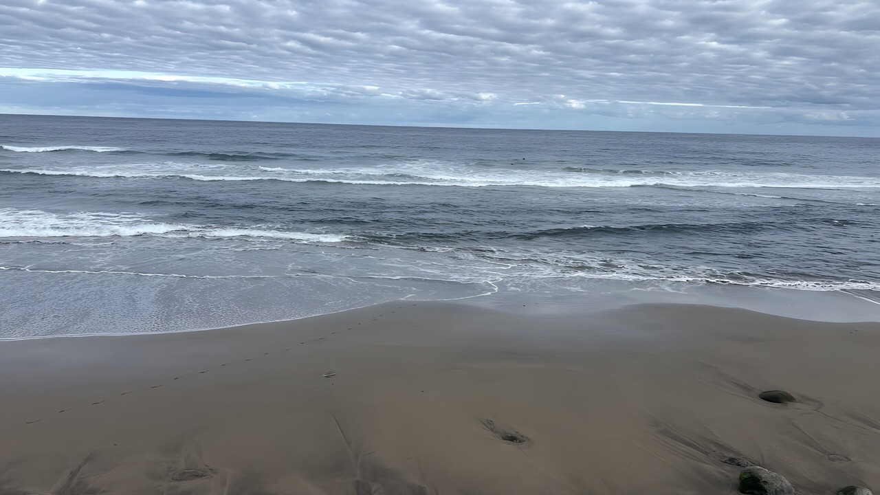 Photo of Others in San Felipe