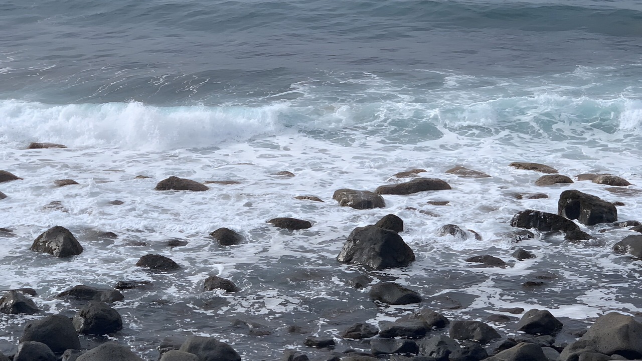 Photo of Others in San Felipe