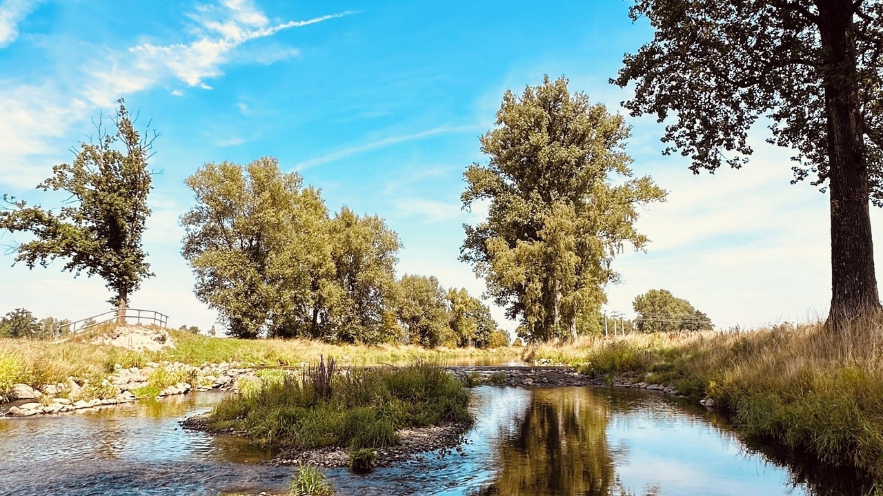 Photo of Others in Weiden in der Oberpfalz