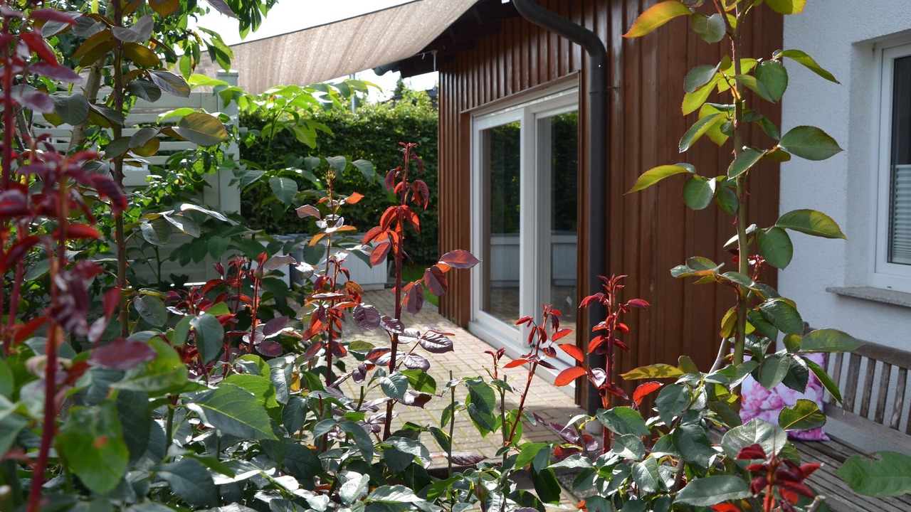 Photo of Outdoor in Meschede