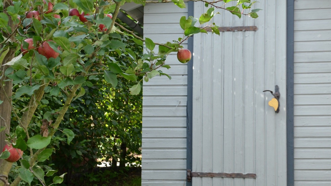 Photo of Outdoor in Meschede