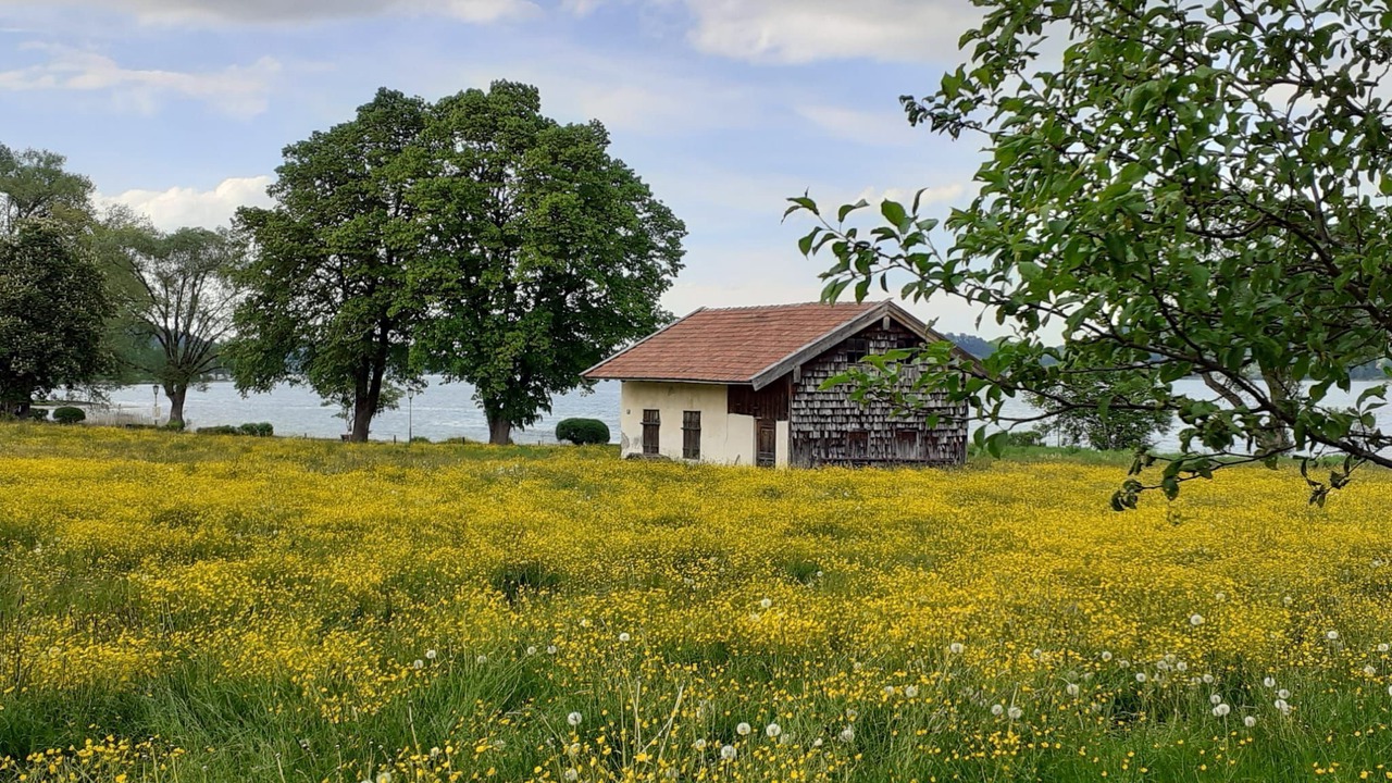Photo of Others in Bad Wiessee