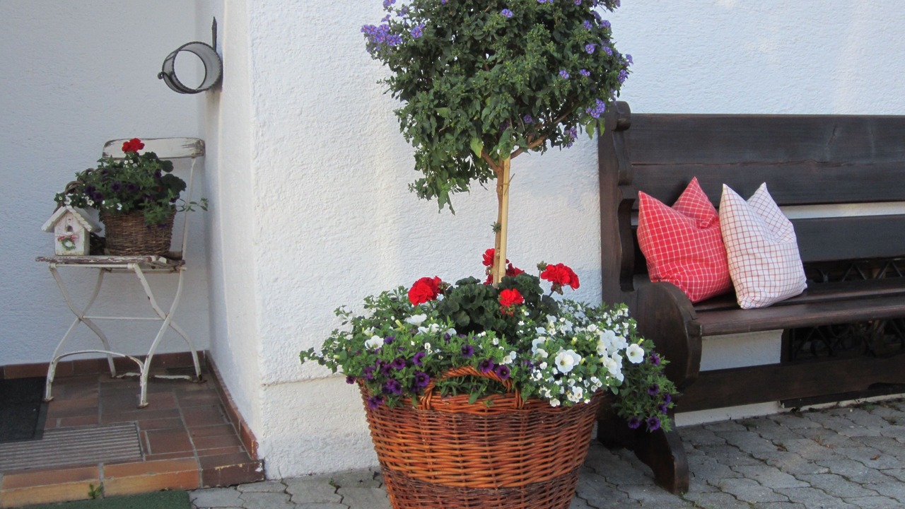 Photo of Patio Balcony in Bad Wiessee