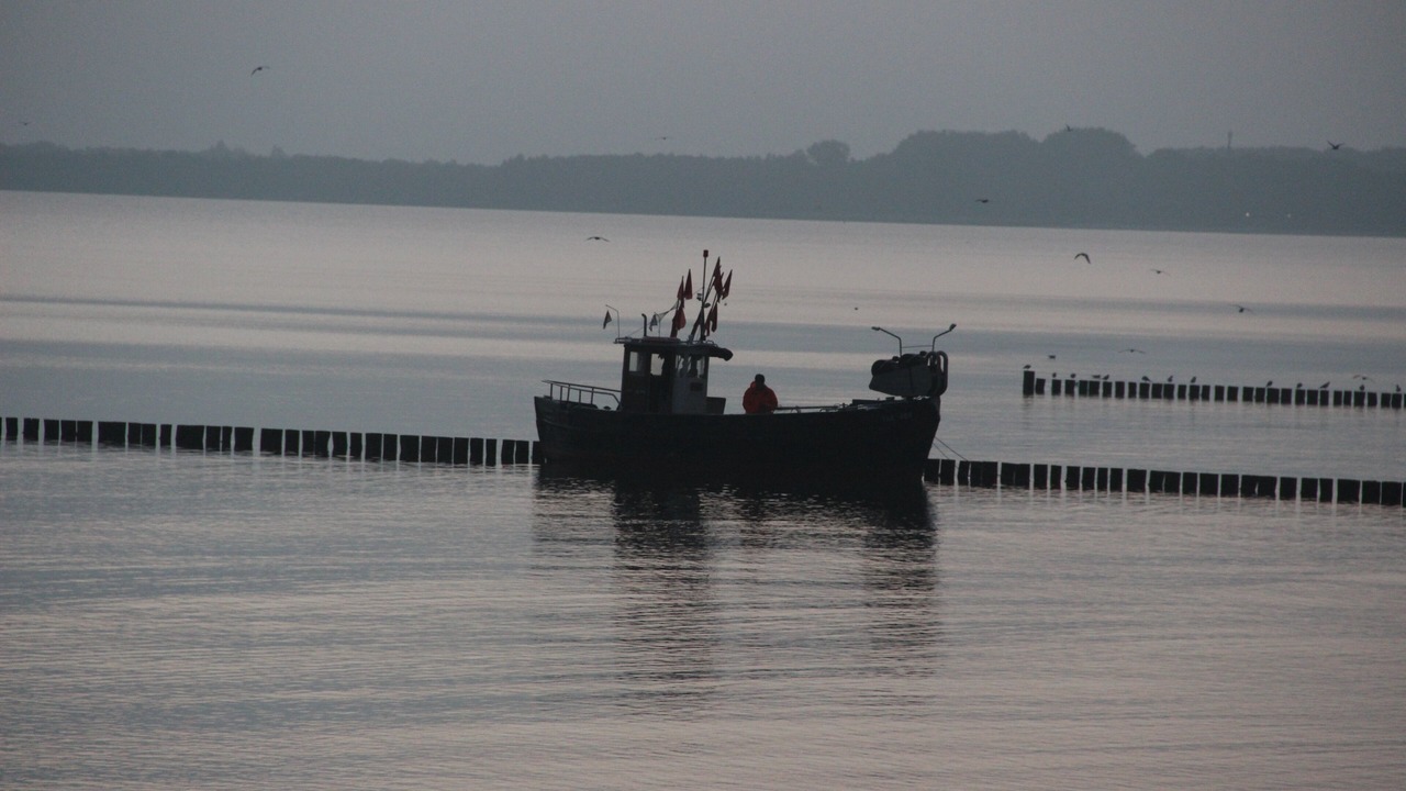 Photo of Others in Redewisch