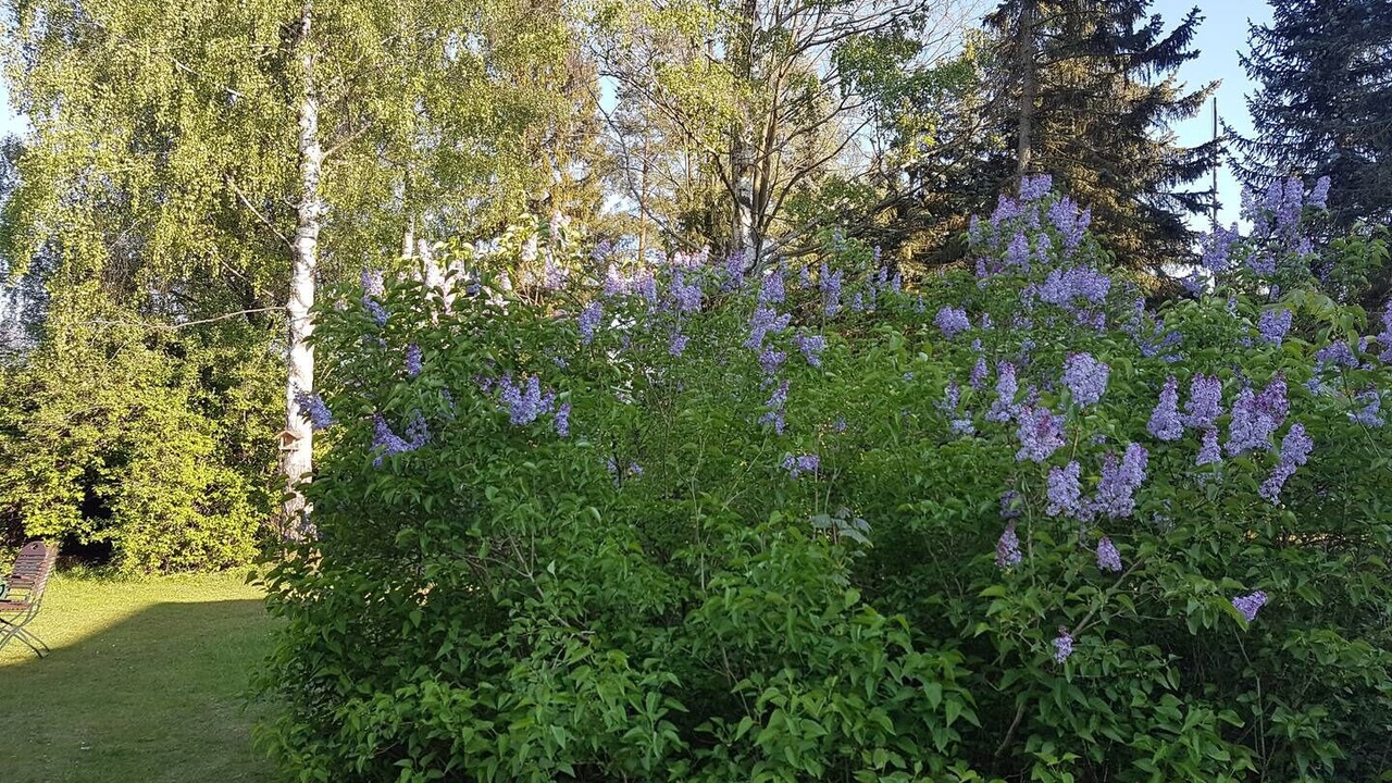 Photo of Outdoor in Kurort Gohrisch