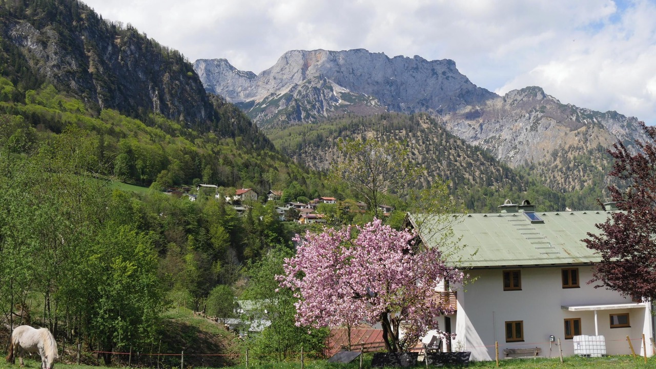 Photo of Others in Marktschellenberg
