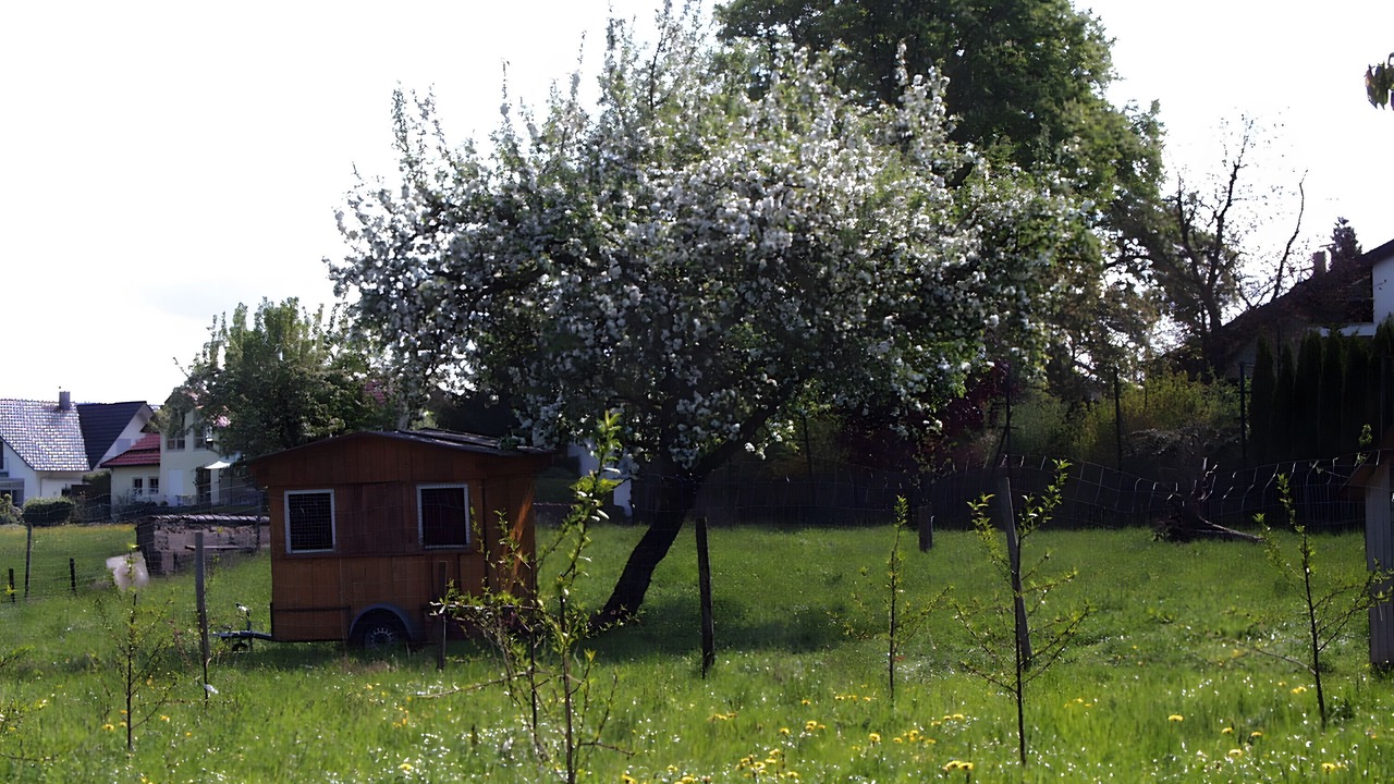Photo of Outdoor in Wasserburg