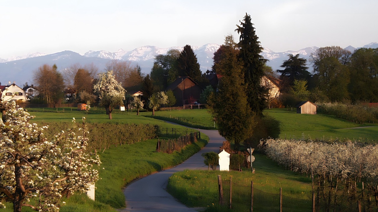 Photo of Others in Wasserburg