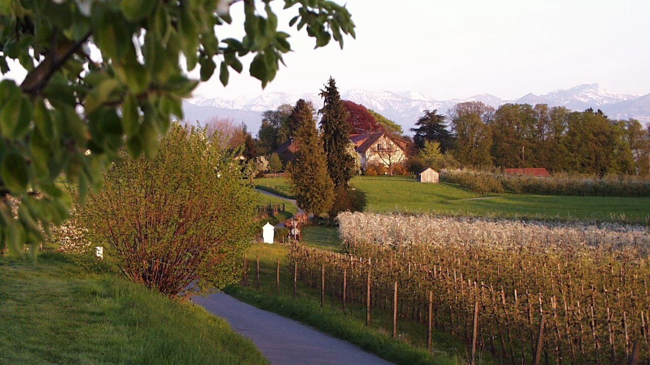 Photo of Outdoor in Wasserburg