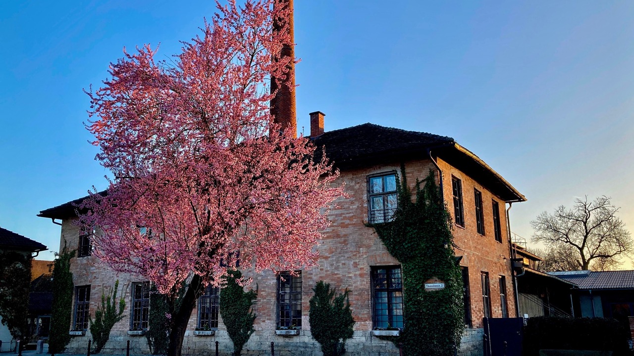 Photo of Outdoor in Ammerland