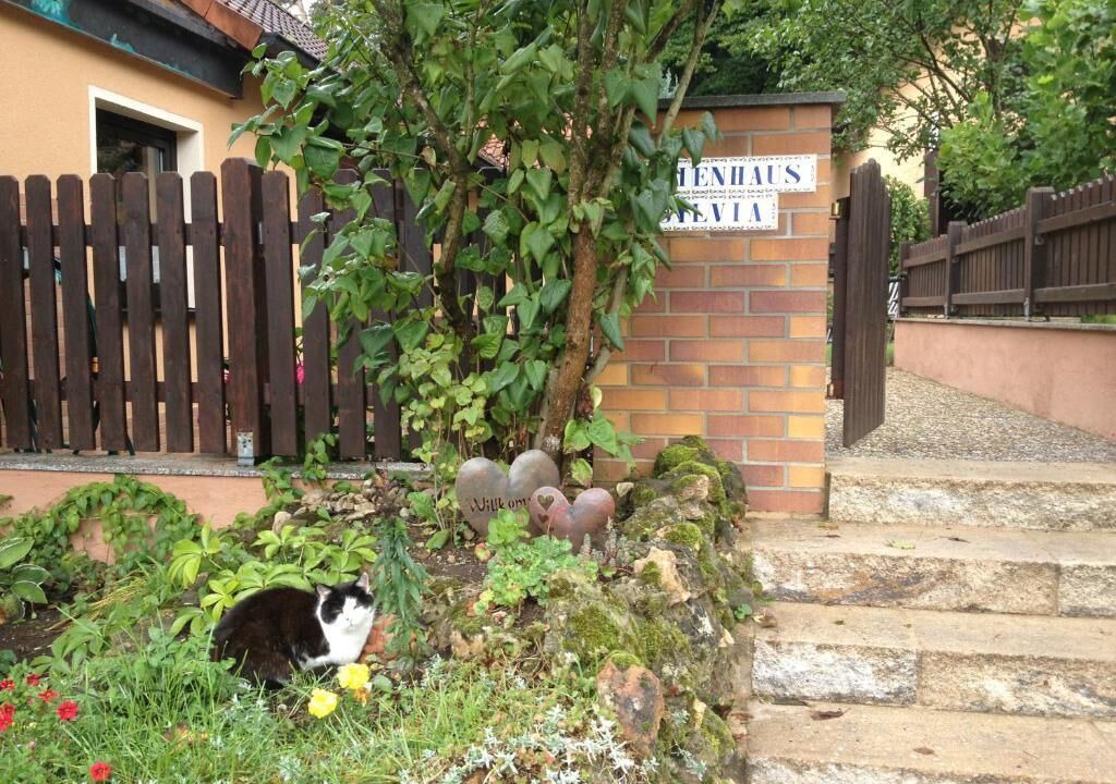 Photo of Outdoor in Goessweinstein