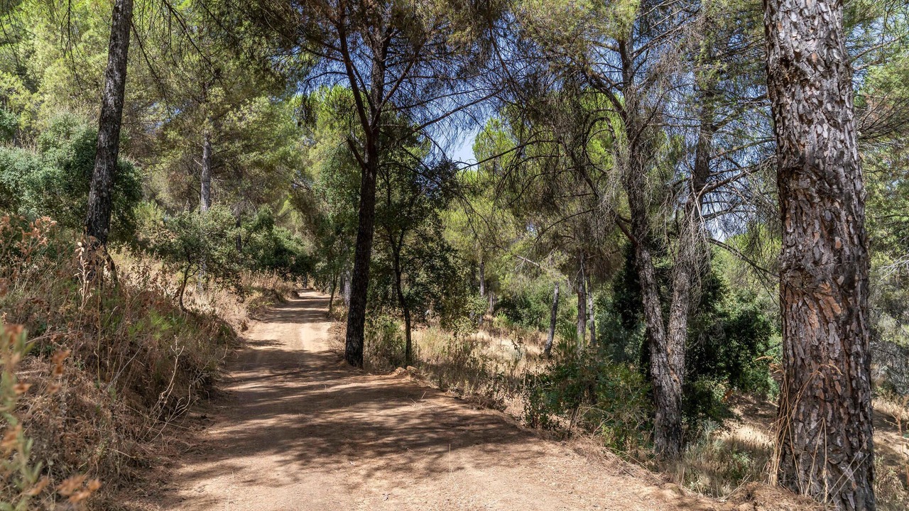 Photo of Others in Villaviciosa de Cordoba