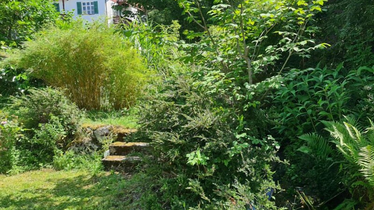Photo of Outdoor in Fischbachau