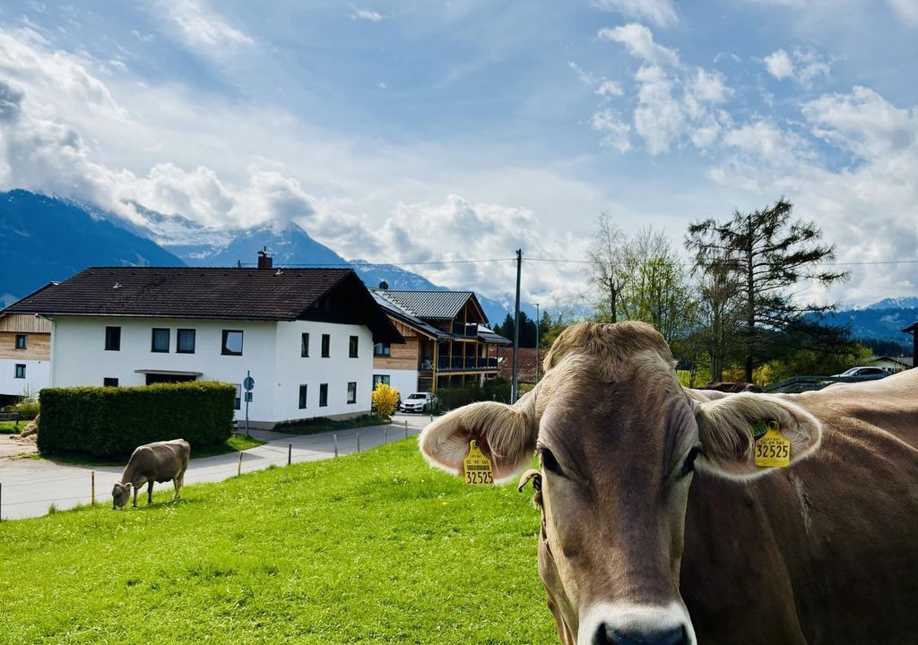 Photo of Outdoor in Tiefenberg