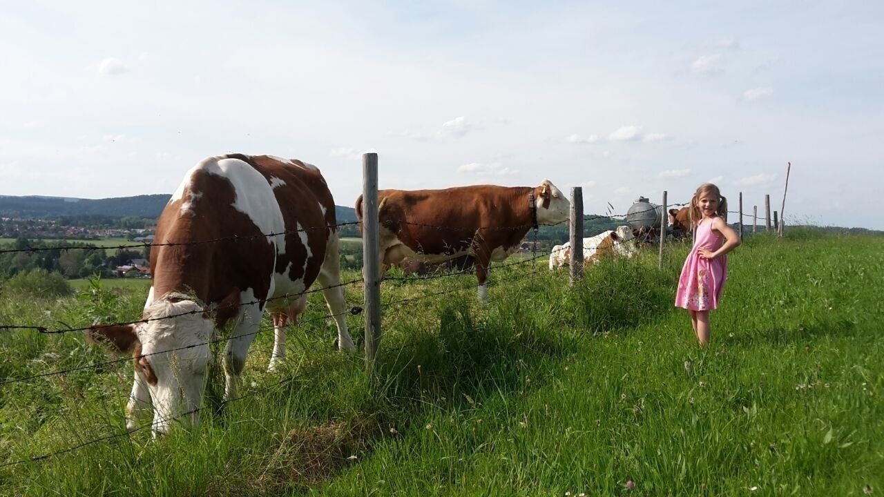 Photo of Others in Peiting