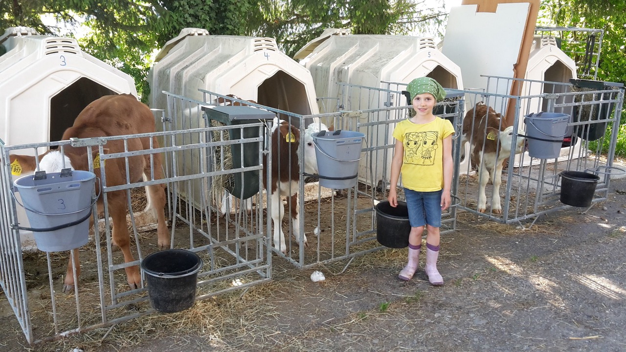 Photo of Others in Peiting