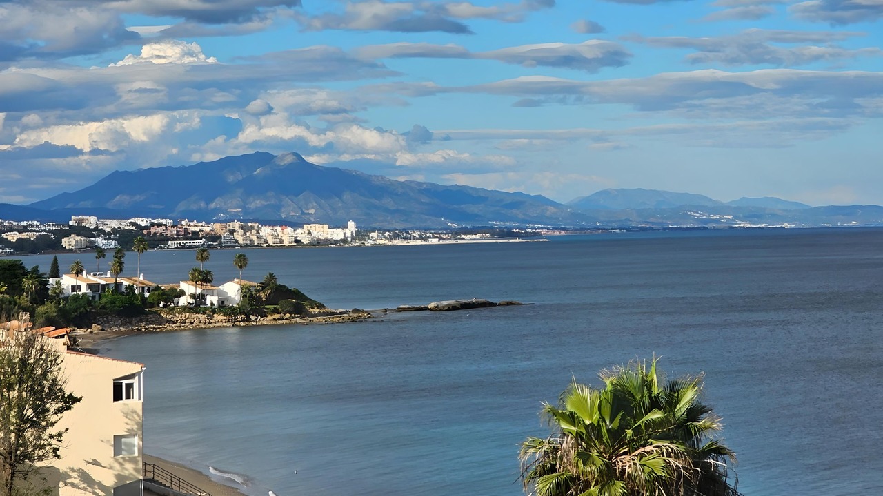 Photo of Others in Buenas Noches