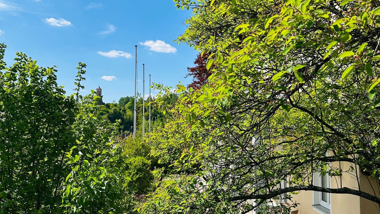 Photo of Outdoor in Waischenfeld