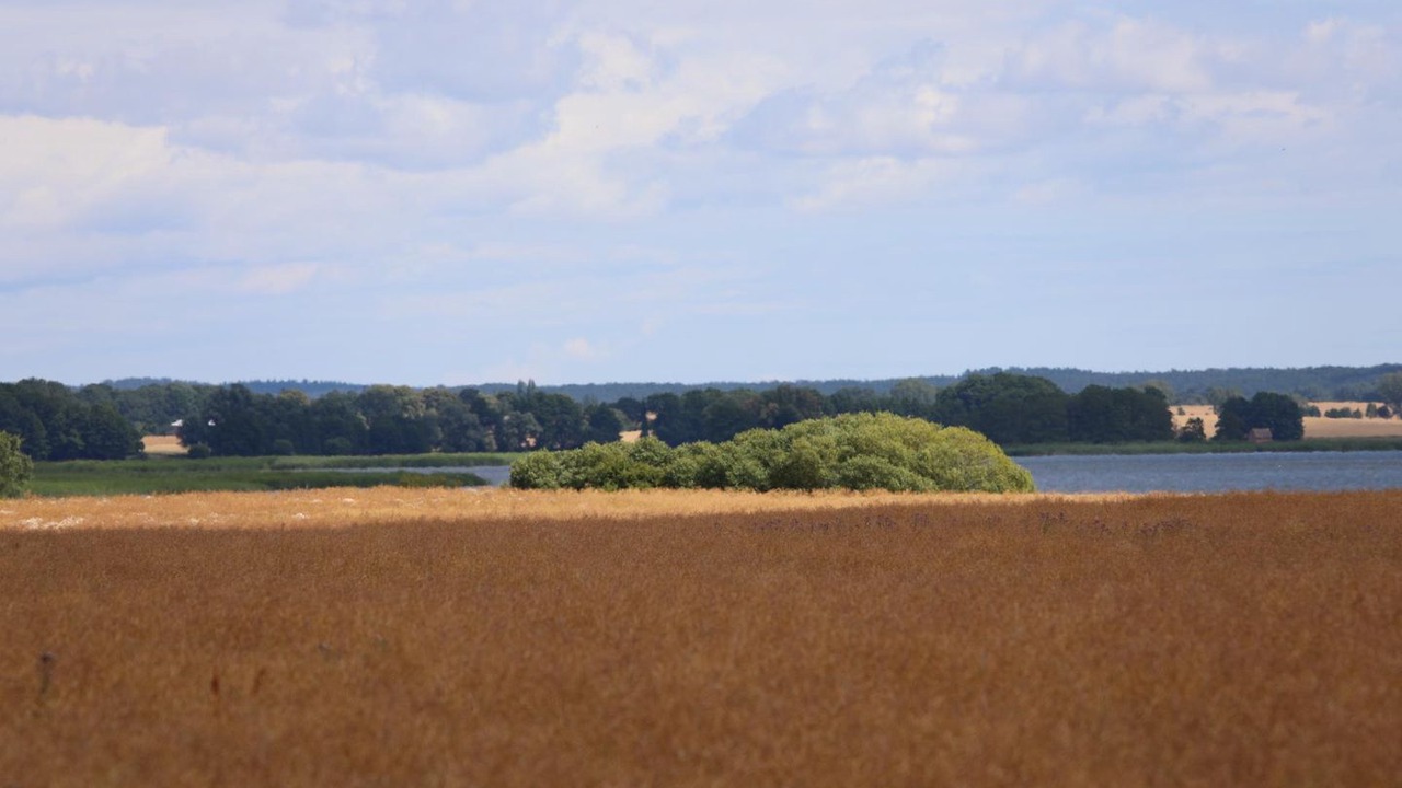Photo of Others in Stolpe