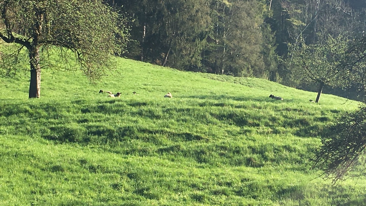 Photo of Others in Ravensburg
