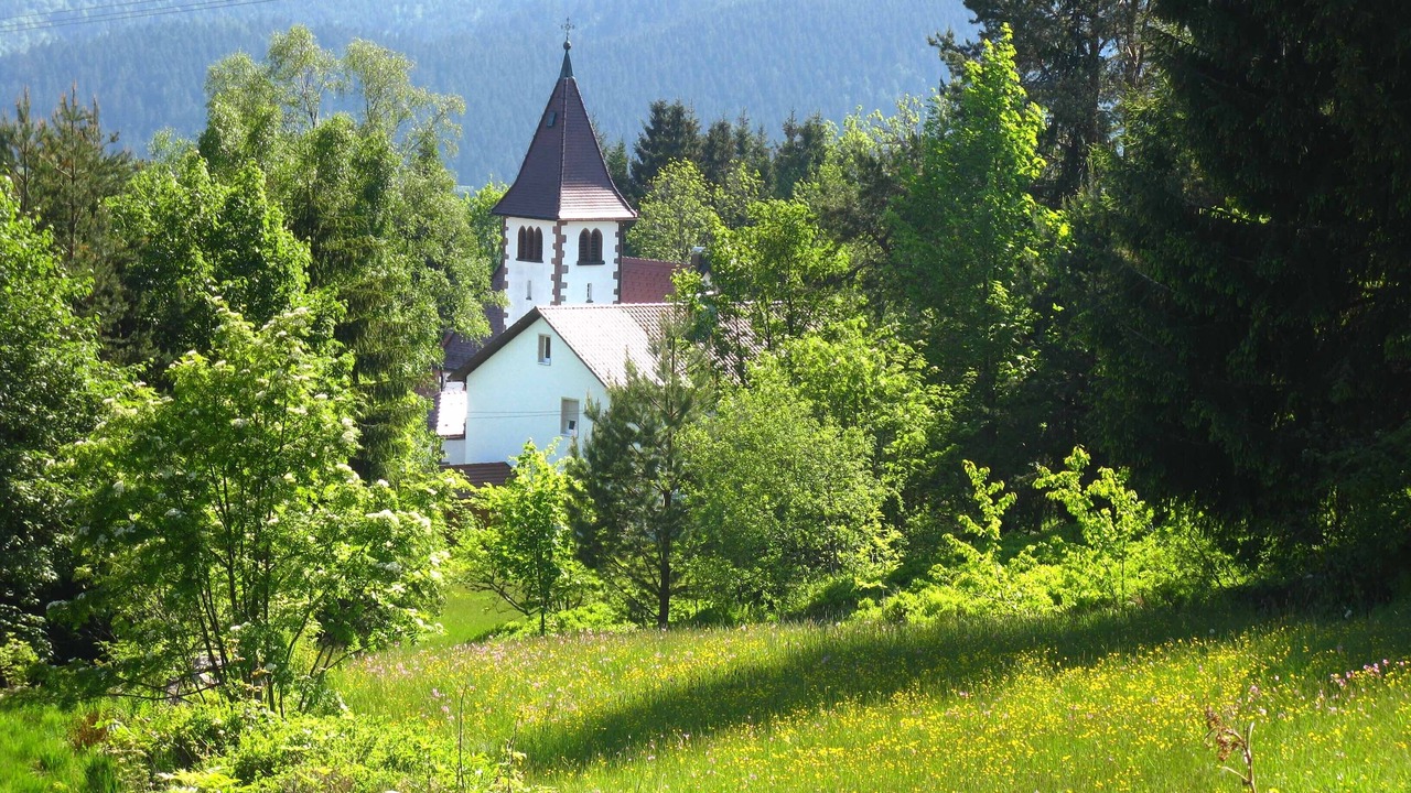 Photo of Others in Kniebis