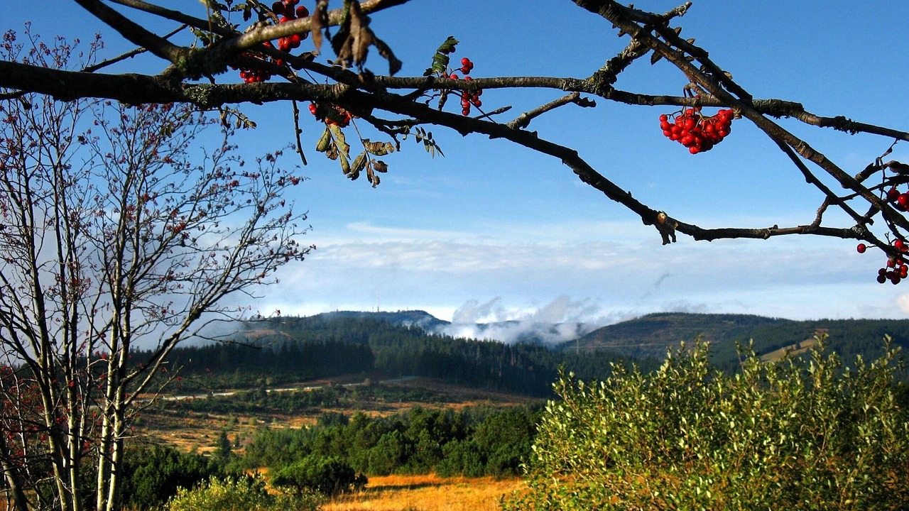 Photo of Others in Kniebis