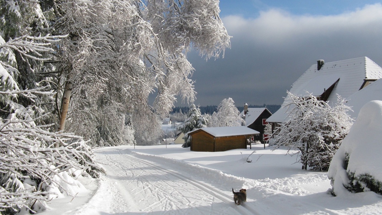 Photo of Others in Kniebis