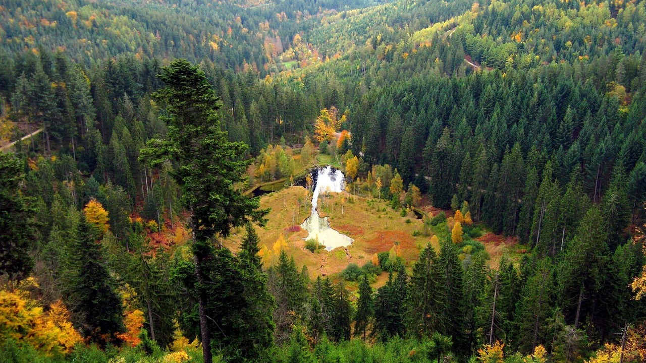 Photo of Outdoor in Kniebis