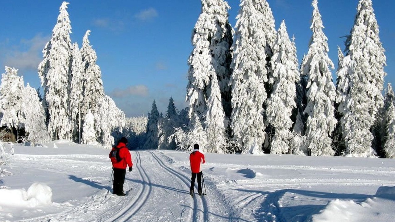 Photo of Others in Kniebis