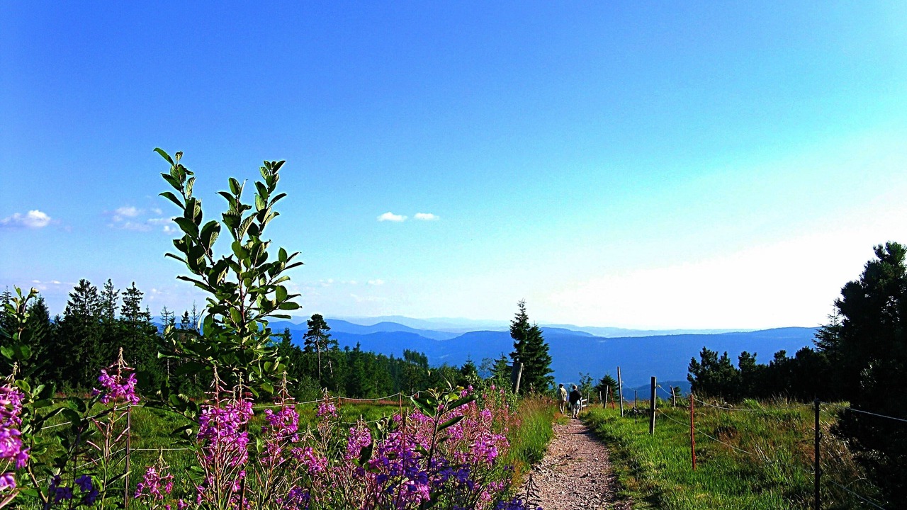 Photo of Others in Kniebis