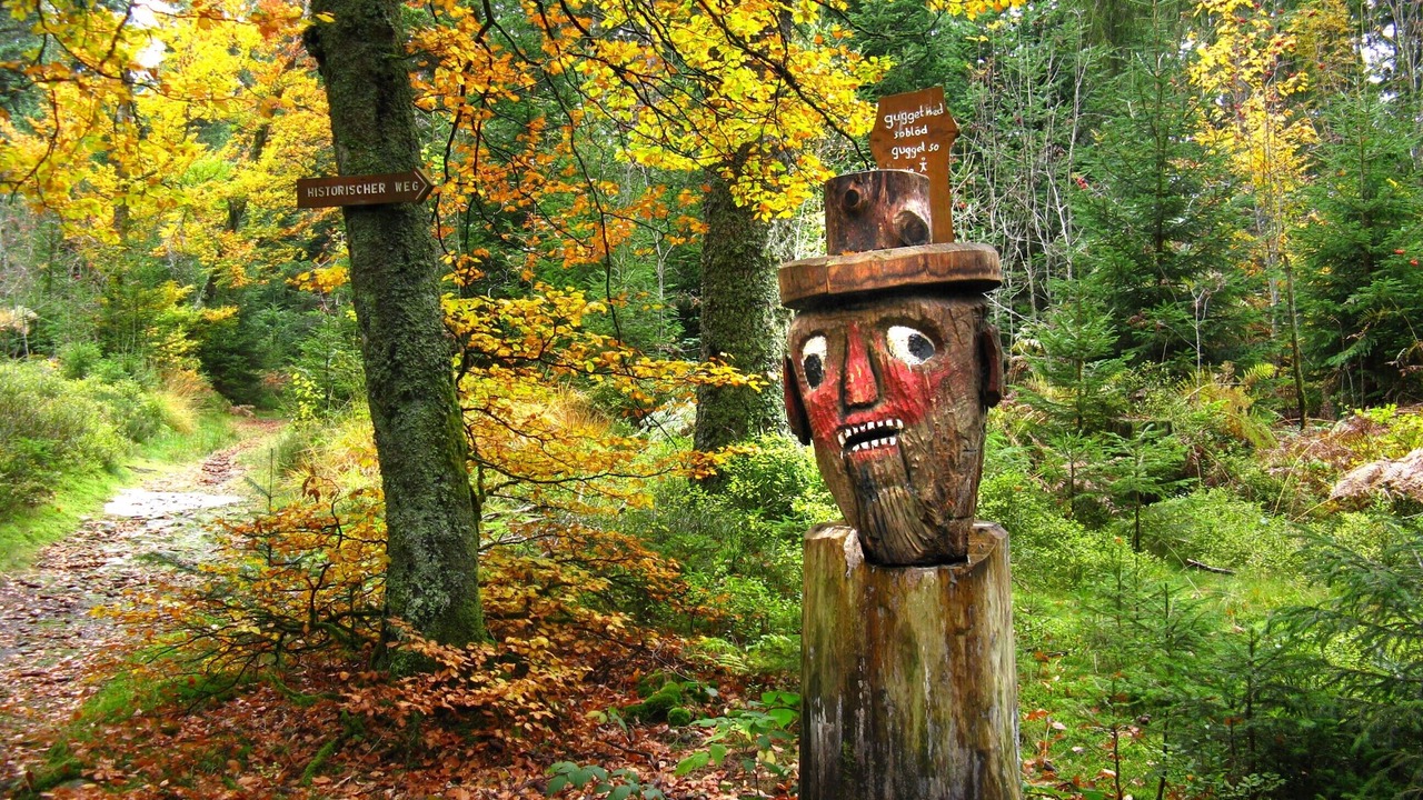 Photo of Outdoor in Kniebis