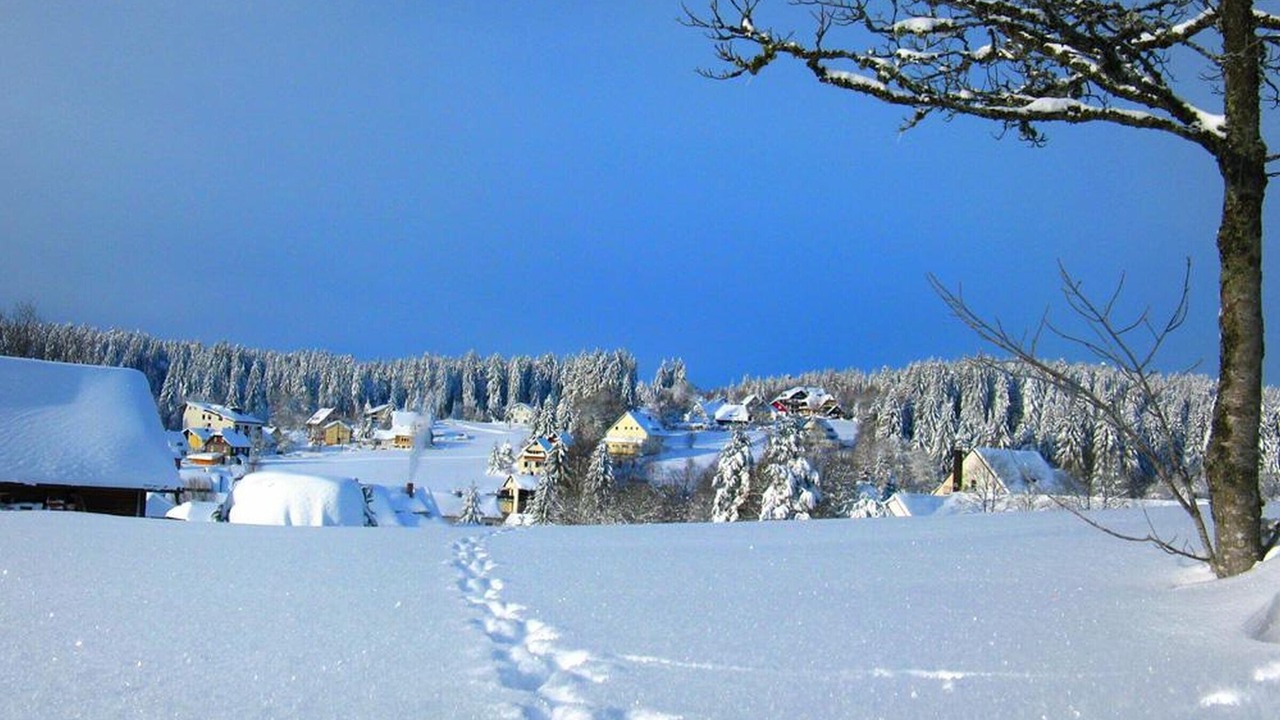 Photo of Others in Kniebis