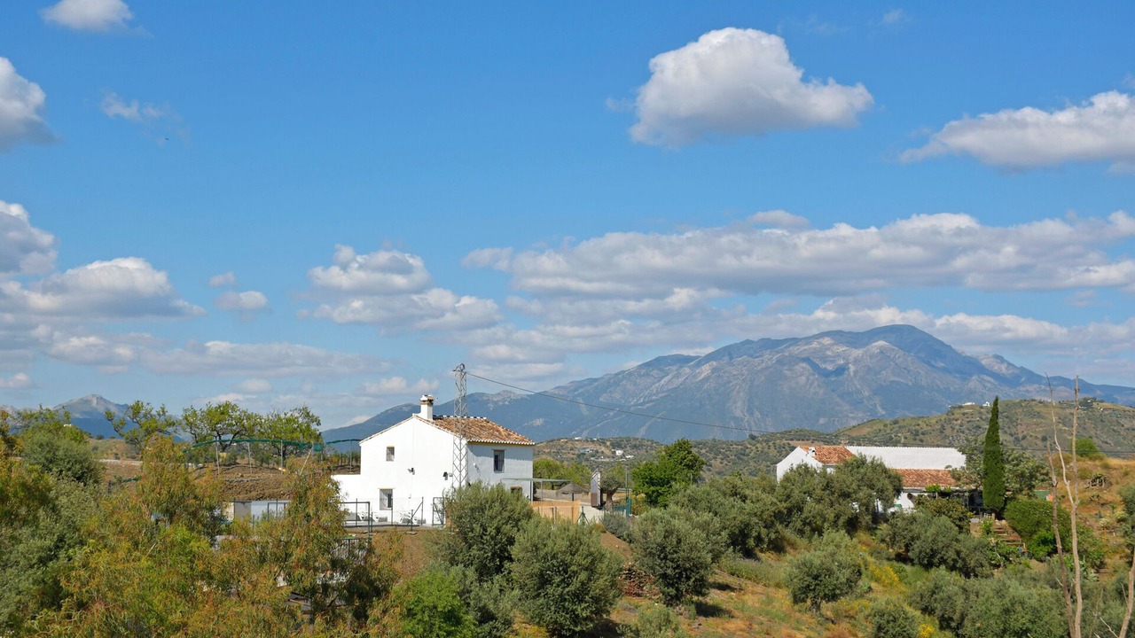 Photo of Others in Comares