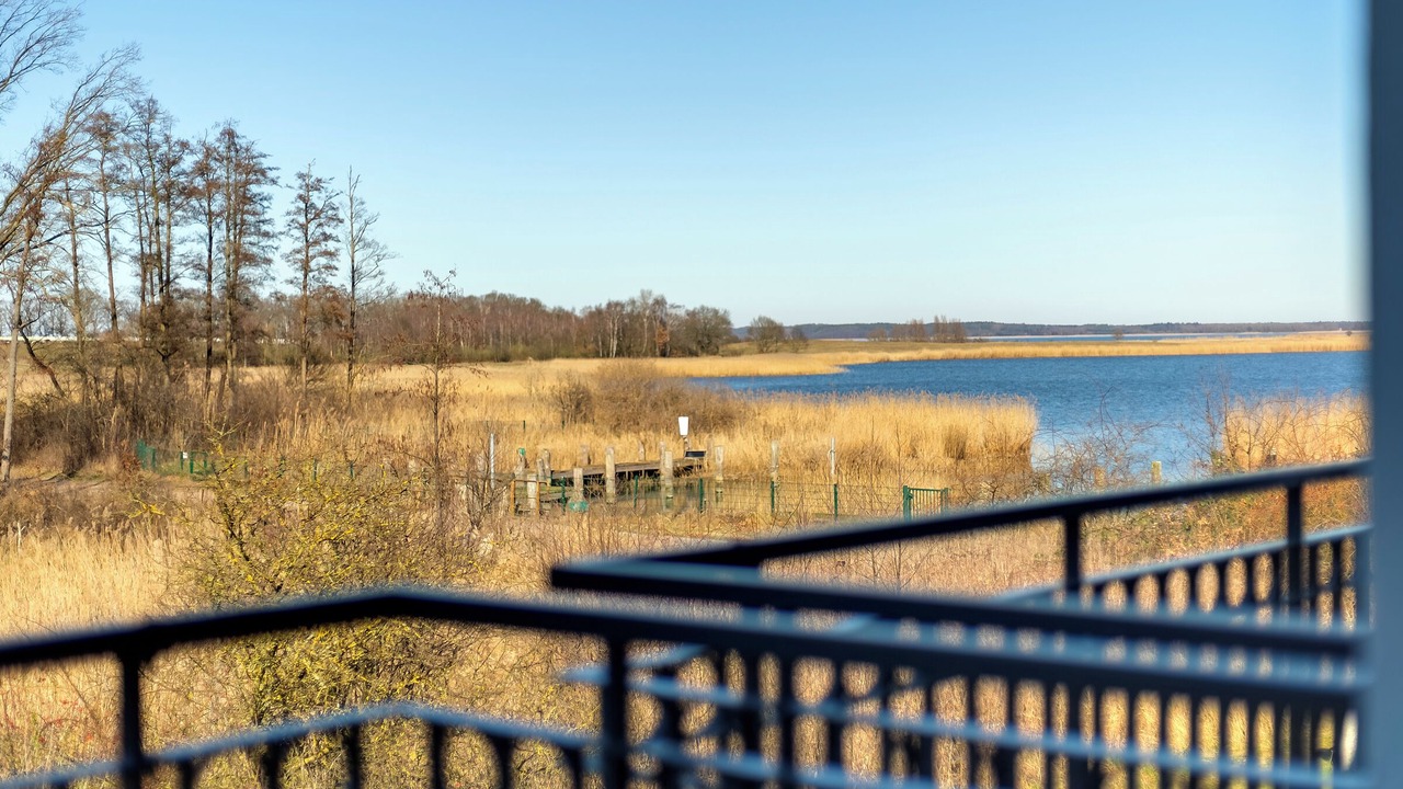 Photo of Outdoor in Balm