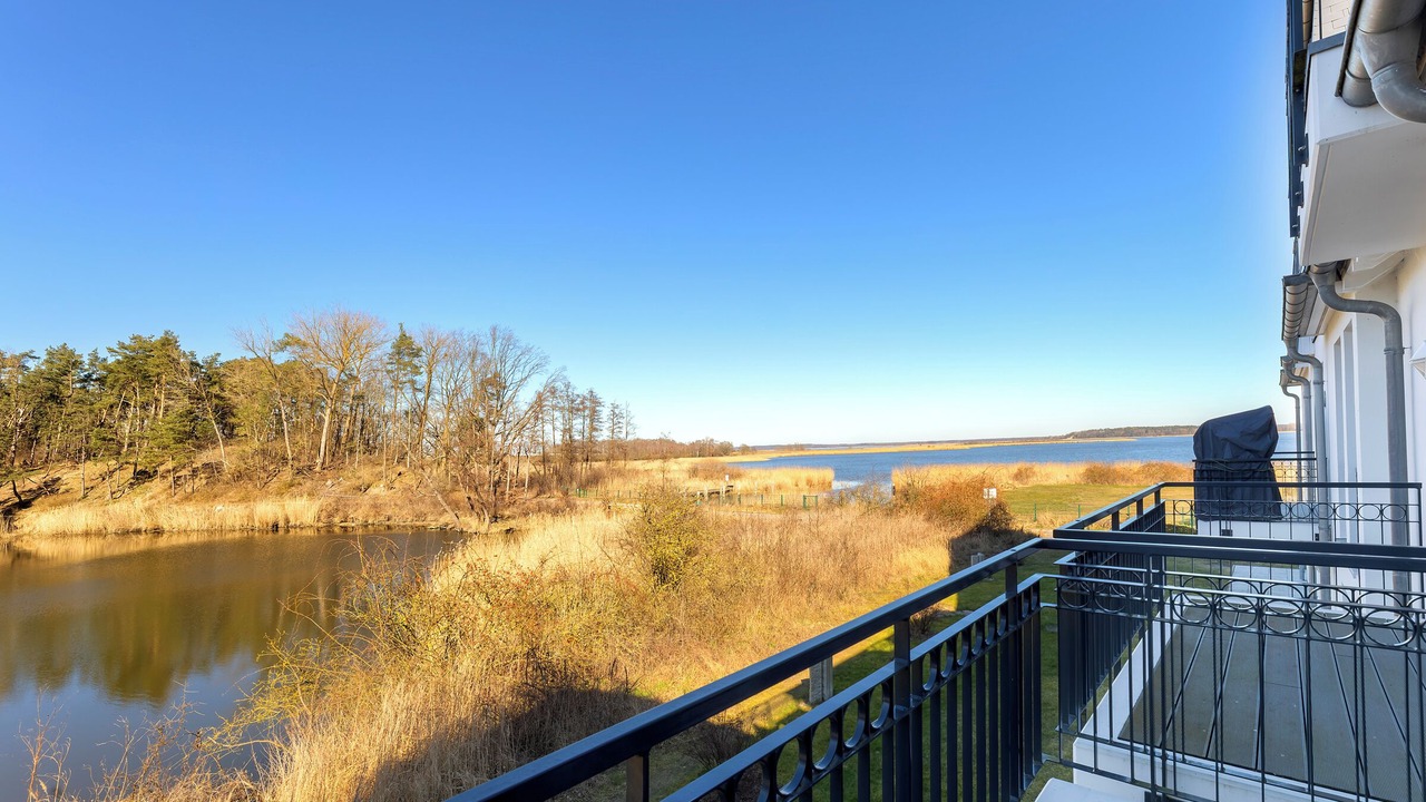 Photo of Outdoor in Balm
