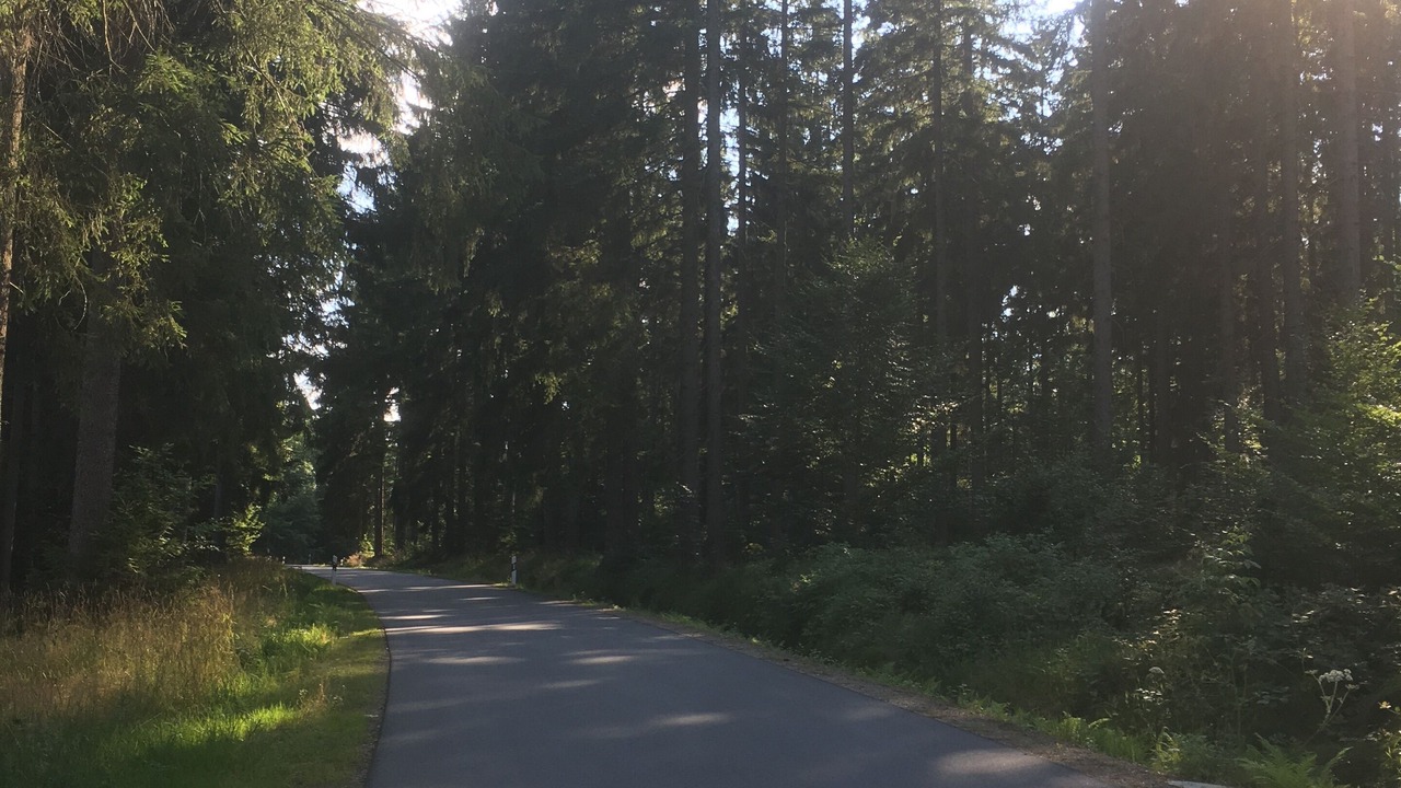 Photo of Others in Reichenau