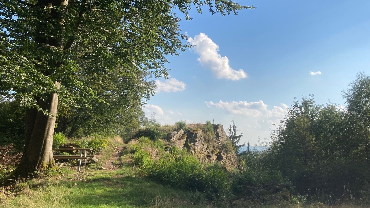 Photo of Others in Reichenau