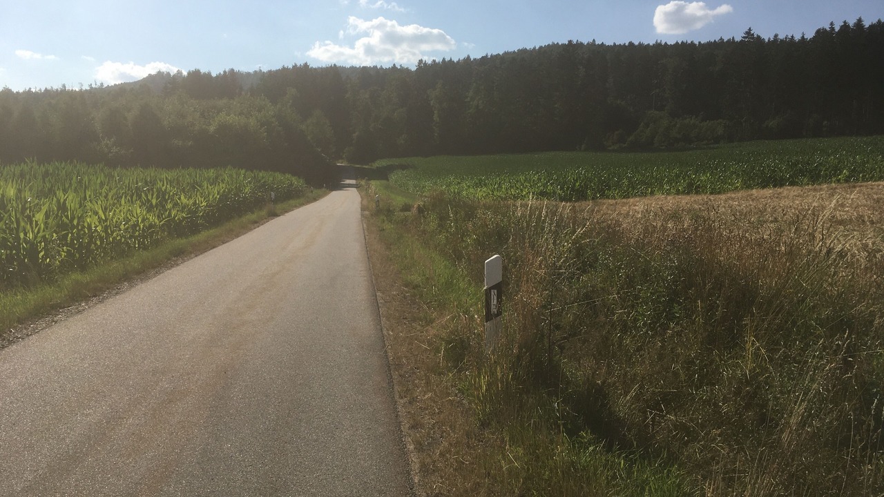 Photo of Others in Reichenau