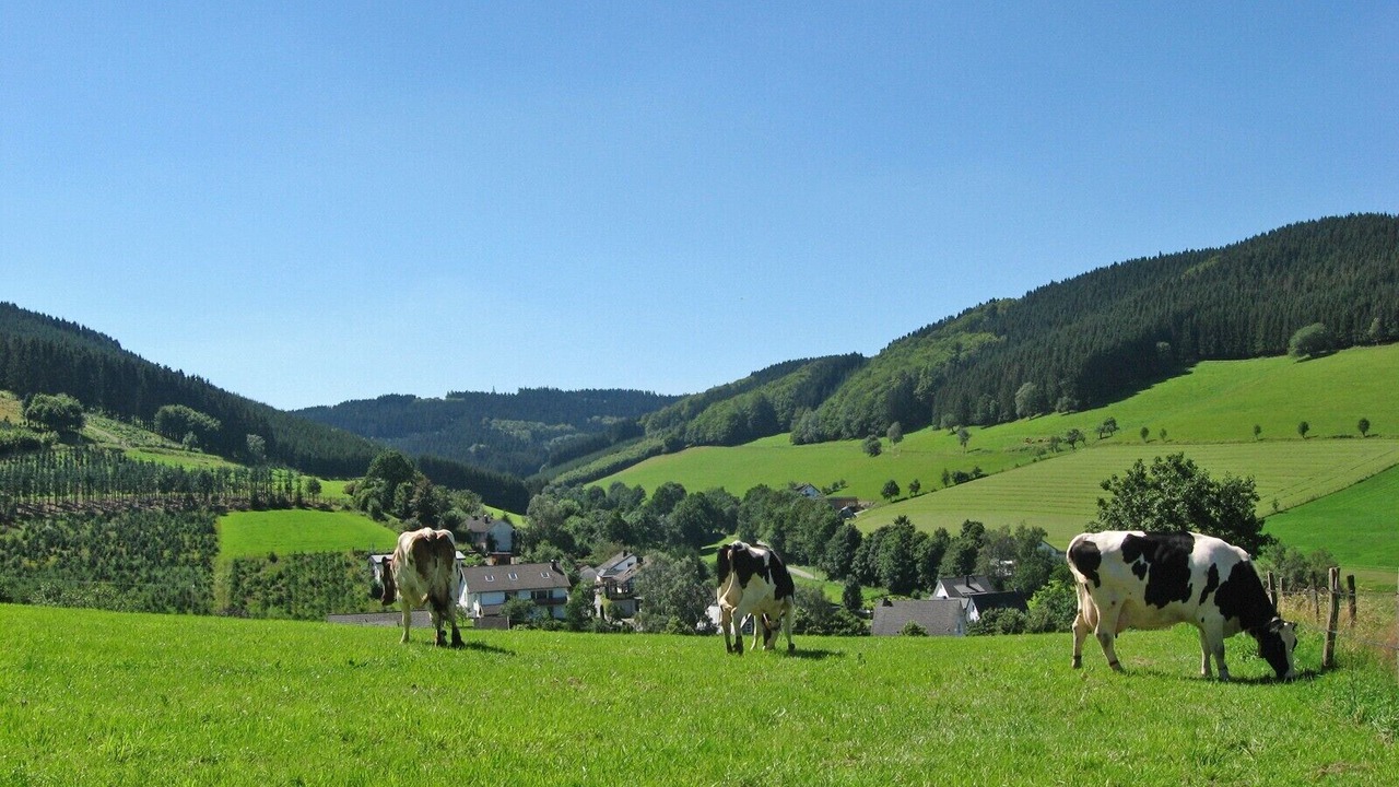Photo of Others in Oberhenneborn