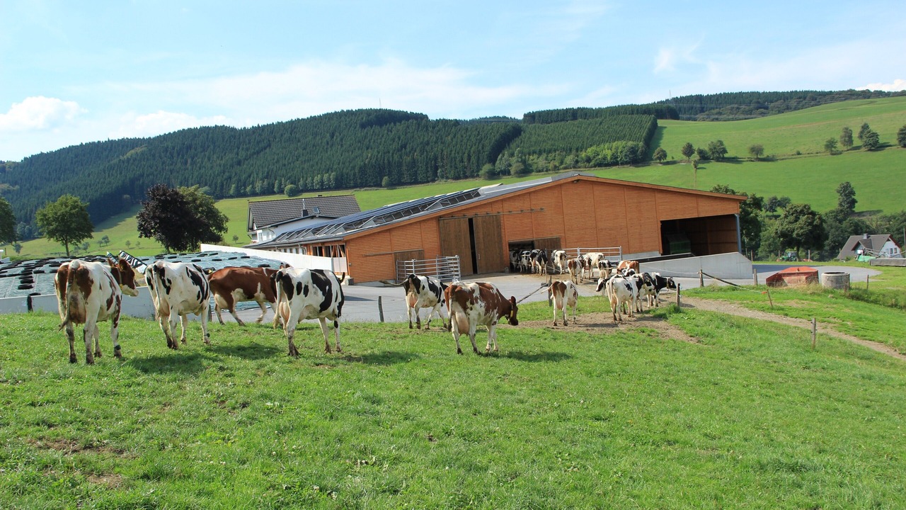 Photo of Others in Oberhenneborn