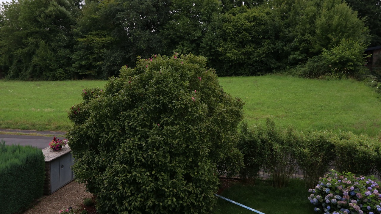 Photo of Outdoor in Waag