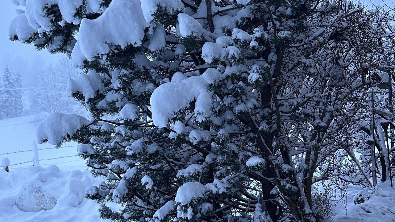 Photo of Others in Frutigen