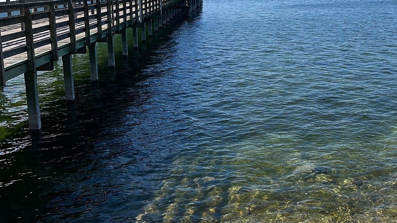 Photo of Others in Starnberg