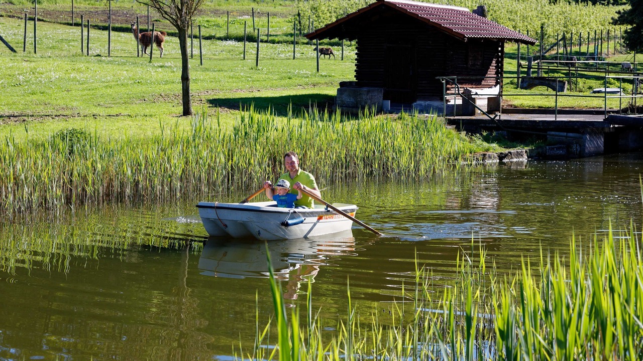 Photo of Others in Lehrensteinsfeld