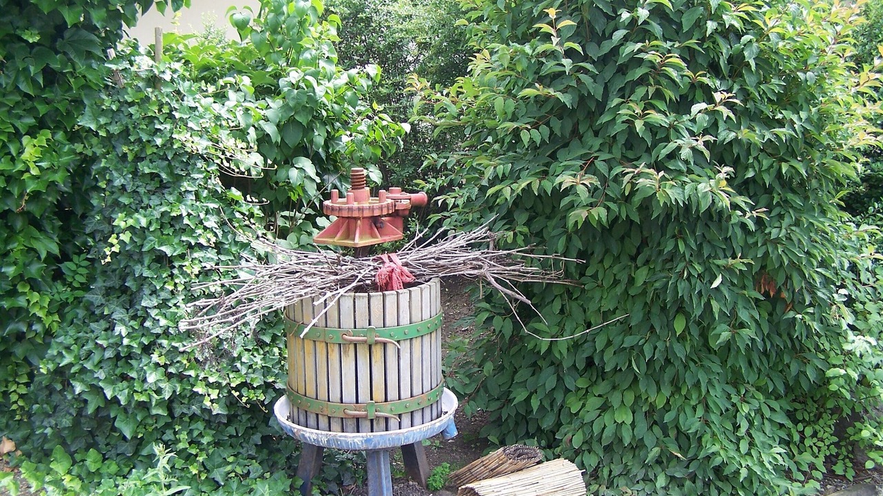 Photo of Outdoor in Bad Bellingen